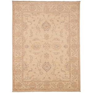 30512 Ziegler Pakistani 